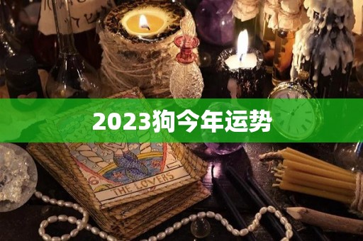 2023狗今年运势