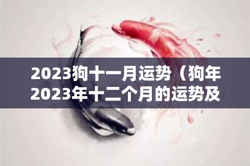 2023狗十一月运势（狗年2023年十二个月的运势及运程）