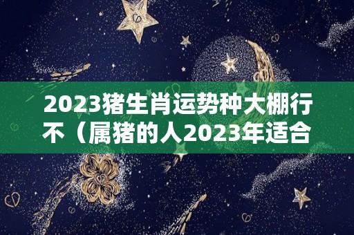 2023猪生肖运势种大棚行不（属猪的人2023年适合生孩子吗）