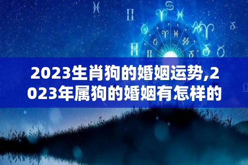 2023生肖狗的婚姻运势,2023年属狗的婚姻有怎样的危机