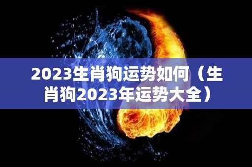 2023生肖狗运势如何（生肖狗2023年运势大全）