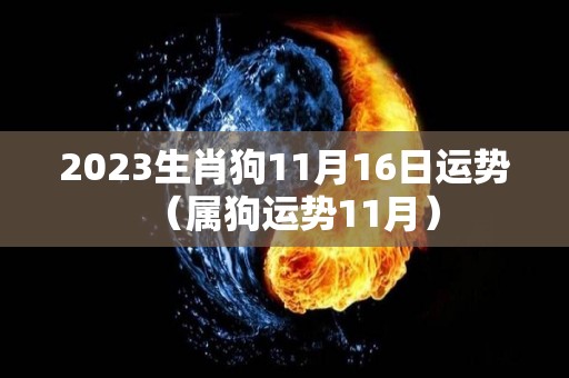 2023生肖狗11月16日运势（属狗运势11月）