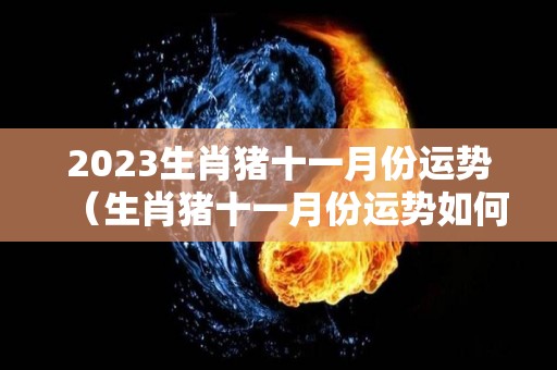 2023生肖猪十一月份运势（生肖猪十一月份运势如何）