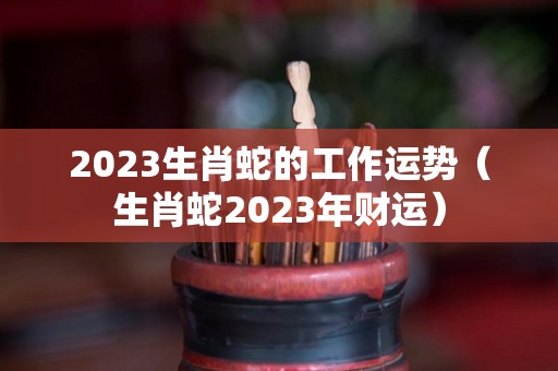 2023生肖蛇的工作运势（生肖蛇2023年财运）