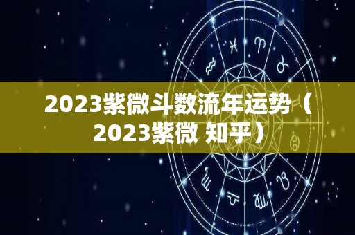 2023紫微斗数流年运势（2023紫微 知乎）