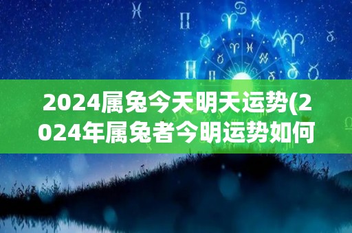 2024属兔今天明天运势(2024年属兔者今明运势如何？)