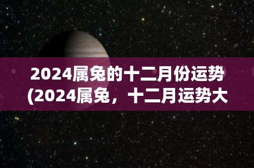 2024属兔的十二月份运势(2024属兔，十二月运势大揭秘！)