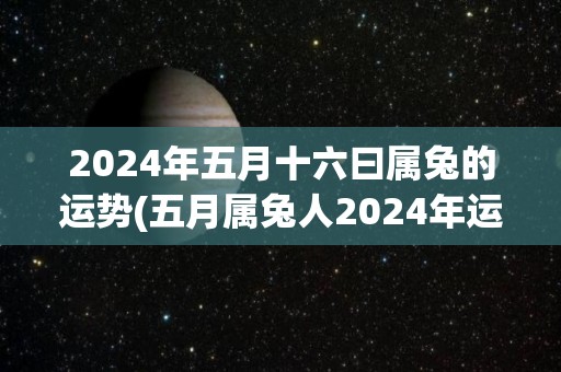 2024年五月十六曰属兔的运势(五月属兔人2024年运势大揭秘)