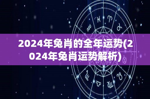 2024年兔肖的全年运势(2024年兔肖运势解析)