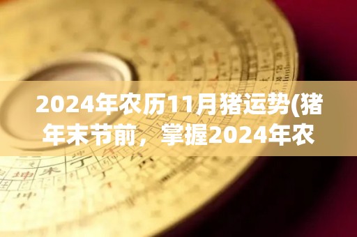 2024年农历11月猪运势(猪年末节前，掌握2024年农历11月生肖猪运势趋势)