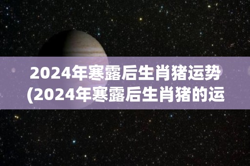 2024年寒露后生肖猪运势(2024年寒露后生肖猪的运势展望)