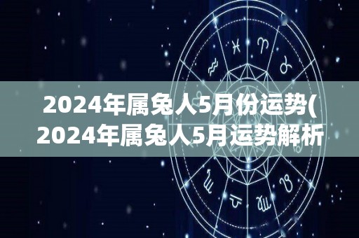 2024年属兔人5月份运势(2024年属兔人5月运势解析)