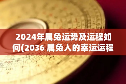 2024年属兔运势及运程如何(2036 属兔人的幸运运程展望)