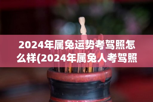 2024年属兔运势考驾照怎么样(2024年属兔人考驾照运势如何？)