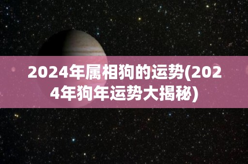 2024年属相狗的运势(2024年狗年运势大揭秘)