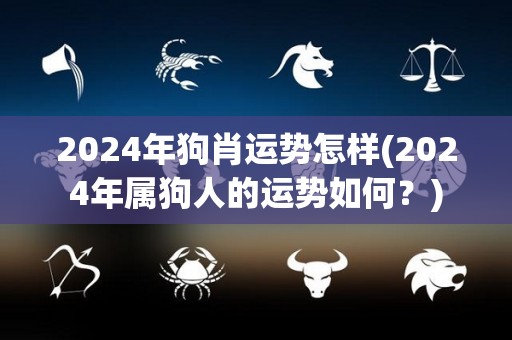 2024年狗肖运势怎样(2024年属狗人的运势如何？)