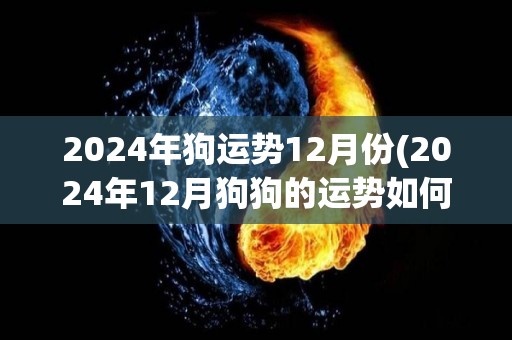 2024年狗运势12月份(2024年12月狗狗的运势如何？)