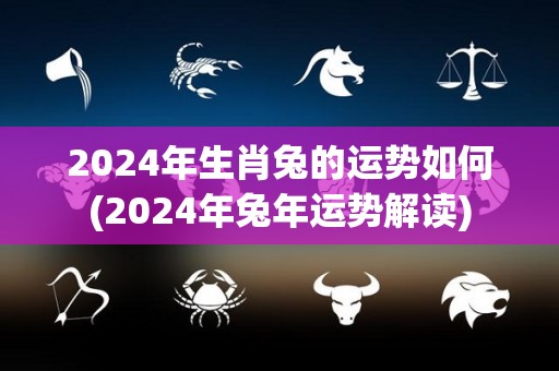 2024年生肖兔的运势如何(2024年兔年运势解读)