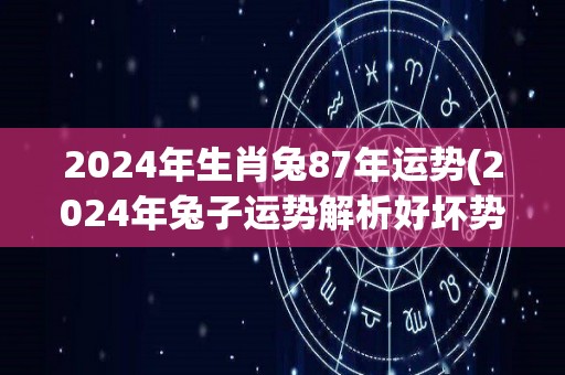 2024年生肖兔87年运势(2024年兔子运势解析好坏势有转机)