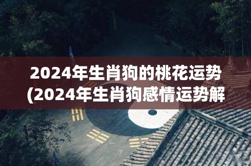 2024年生肖狗的桃花运势(2024年生肖狗感情运势解析)