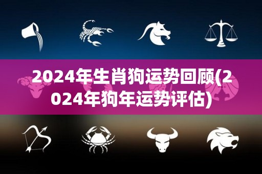 2024年生肖狗运势回顾(2024年狗年运势评估)