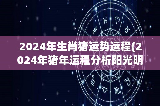 2024年生肖猪运势运程(2024年猪年运程分析阳光明媚，绵绵财源源！)