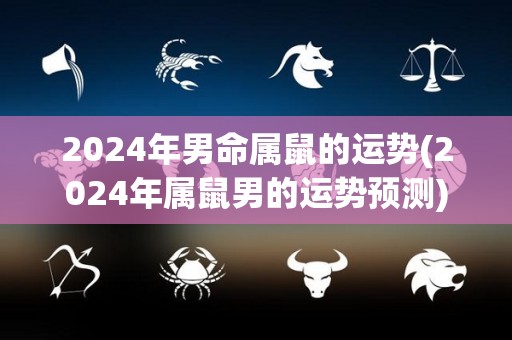 2024年男命属鼠的运势(2024年属鼠男的运势预测)