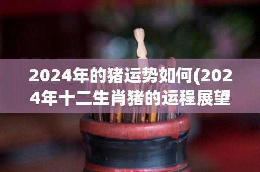 2024年的猪运势如何(2024年十二生肖猪的运程展望)