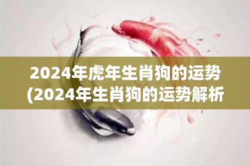 2024年虎年生肖狗的运势(2024年生肖狗的运势解析)