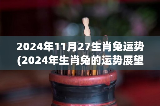 2024年11月27生肖兔运势(2024年生肖兔的运势展望)