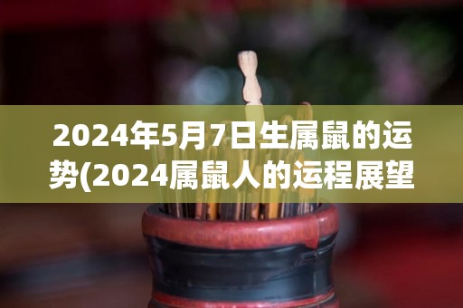 2024年5月7日生属鼠的运势(2024属鼠人的运程展望)