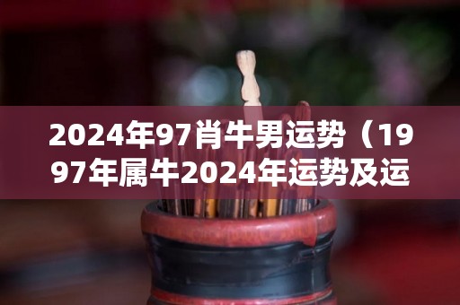 2024年97肖牛男运势（1997年属牛2024年运势及运程）