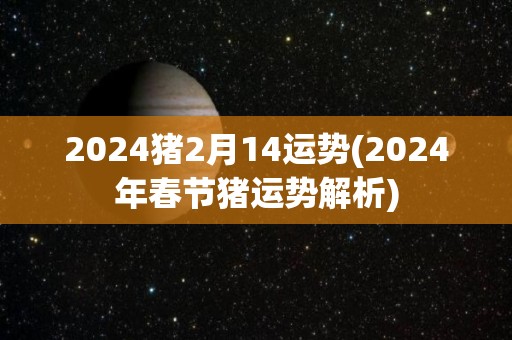 2024猪2月14运势(2024年春节猪运势解析)