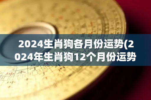 2024生肖狗各月份运势(2024年生肖狗12个月份运势大揭秘)