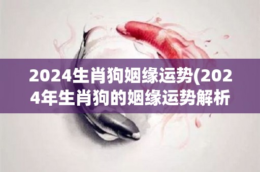 2024生肖狗姻缘运势(2024年生肖狗的姻缘运势解析)