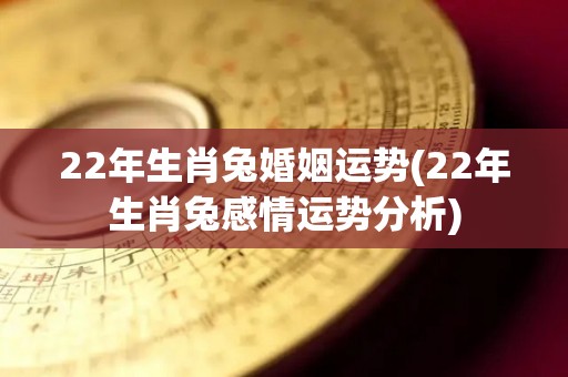 22年生肖兔婚姻运势(22年生肖兔感情运势分析)