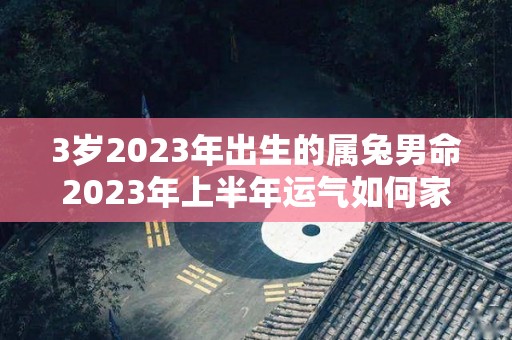 3岁2023年出生的属兔男命2023年上半年运气如何家长要注意的问题（2023年属兔的男孩是什么命）