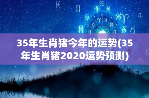 35年生肖猪今年的运势(35年生肖猪2020运势预测)