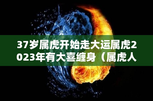 37岁属虎开始走大运属虎2023年有大喜缠身（属虎人2023运程）