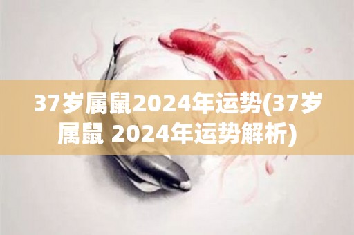 37岁属鼠2024年运势(37岁属鼠 2024年运势解析)