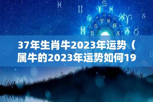 37年生肖牛2023年运势（属牛的2023年运势如何1973年出生）