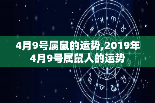 4月9号属鼠的运势,2019年4月9号属鼠人的运势