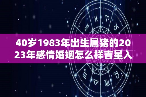 40岁1983年出生属猪的2023年感情婚姻怎么样吉星入命好运良多（83年猪人40岁后命运）