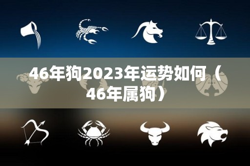 46年狗2023年运势如何（46年属狗）