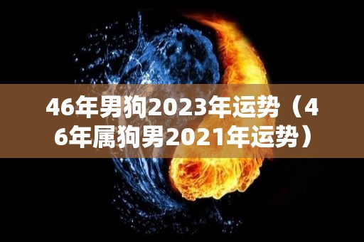 46年男狗2023年运势（46年属狗男2021年运势）