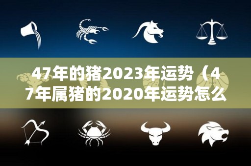 47年的猪2023年运势（47年属猪的2020年运势怎么样）