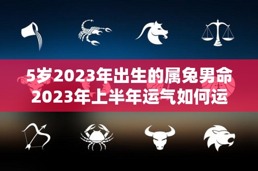 5岁2023年出生的属兔男命2023年上半年运气如何运势详解（2023年兔年男孩是什么命）