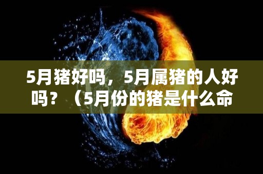 5月猪好吗，5月属猪的人好吗？（5月份的猪是什么命）