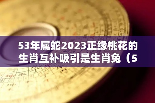 53年属蛇2023正缘桃花的生肖互补吸引是生肖兔（53年的蛇2020年的运势）