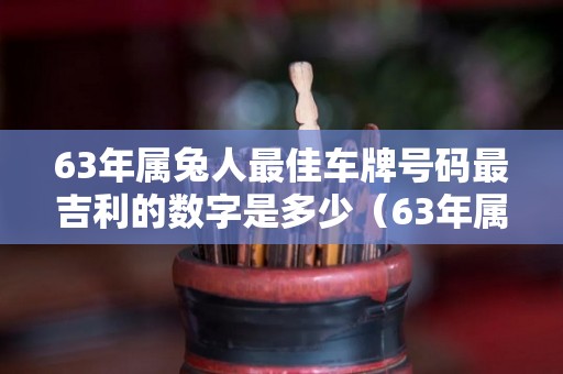 63年属兔人最佳车牌号码最吉利的数字是多少（63年属兔的车颜色）